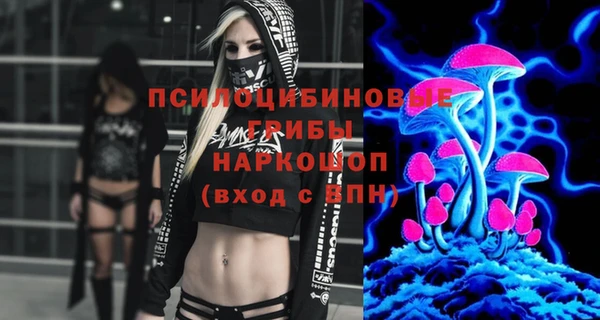 марки lsd Богданович